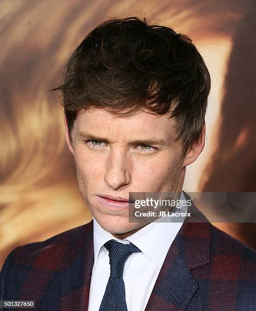 Eddie Redmayne attends the premiere of Focus Features' 'The Danish Girl' at Westwood Village Theatre on November 21, 2015 in Westwood, California.