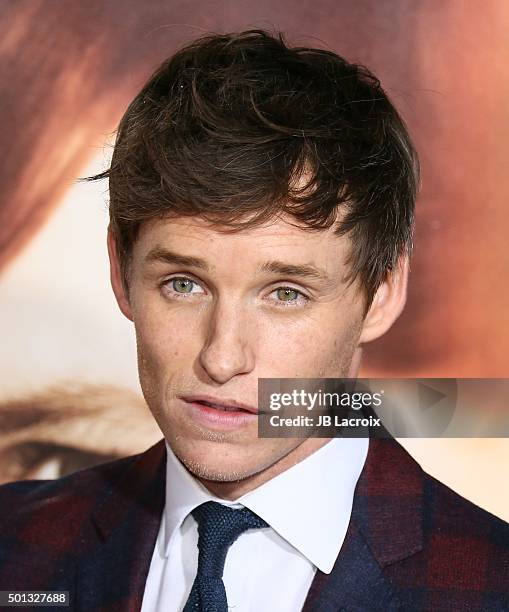 Eddie Redmayne attends the premiere of Focus Features' 'The Danish Girl' at Westwood Village Theatre on November 21, 2015 in Westwood, California.