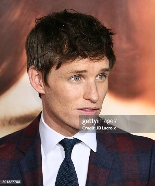 Eddie Redmayne attends the premiere of Focus Features' 'The Danish Girl' at Westwood Village Theatre on November 21, 2015 in Westwood, California.