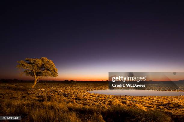 african twilight - savanah landscape stockfoto's en -beelden