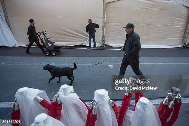 Bomb sniffing dog sweeps areas along Hollywood Boulevard before the start of the premiere of Walt Disney Pictures And Lucasfilm's "Star Wars: The...