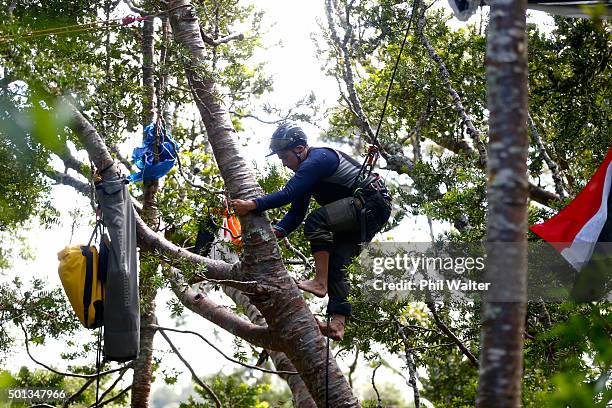 Protester and arborist Jonno Smith stages a protest up a Kauri tree in an attempt to prevent it being felled on December 15, 2015 in Auckland, New...