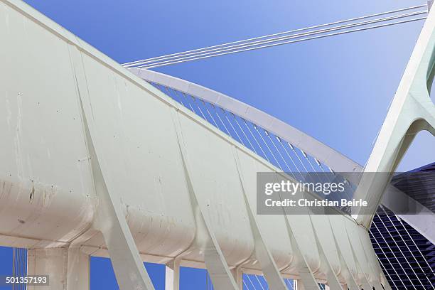 Valencia CAC - Ciudad de las Artes y de las Ciencias, The City of Arts and Sciences.