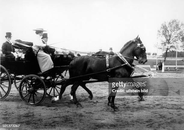 Berlin, harness racing track Ruhleben: Starters of the Concours Hippique tournament. Carriage and pair - 1908