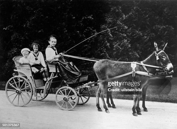 Prince Wilhelm of Prussia, German Empire Sitting on a donkey cart with friends - around 1910 - Photographer: Berger