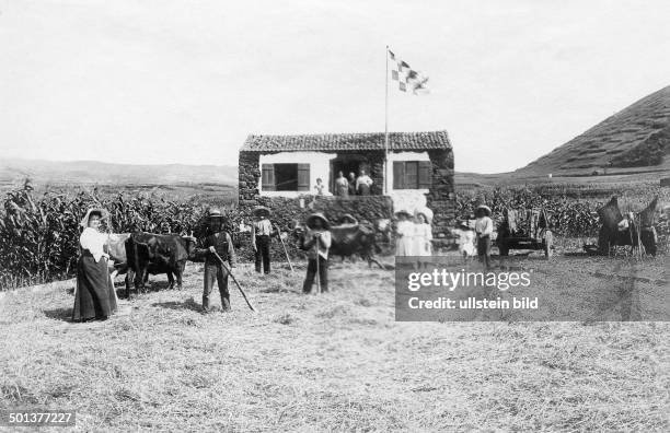 Threshing floor in the Azores - undated, probably in the 1910's