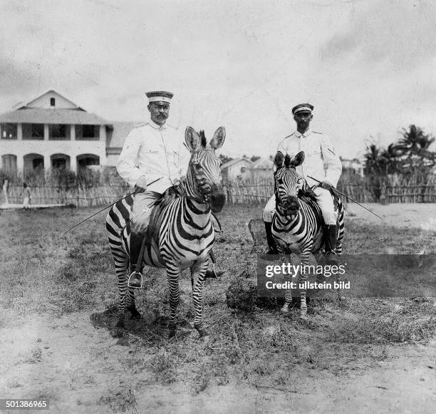 German East Africa, Tanganyika: officers of the German force riding on zebras in Dar es Salaam. - probably in the 1910s - Published by: 'Berliner...