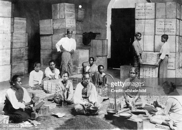 Ombo, tea cultivation. Women and girls pack the tea. - probably in the 1910s