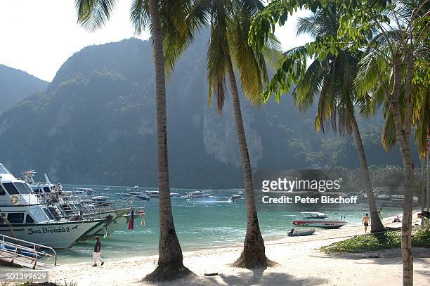 Strand, Insel Phi Phi Island, Andamanen-See, Thailand, Asien, Palmen, Reise, BB, DIG; P.-Nr.: 192/2004, ;