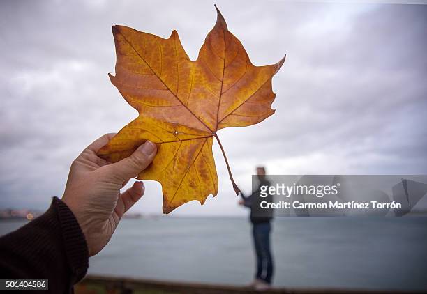 man appearing to hold a leaf in her hand at the woods. - perspective artificielle photos et images de collection