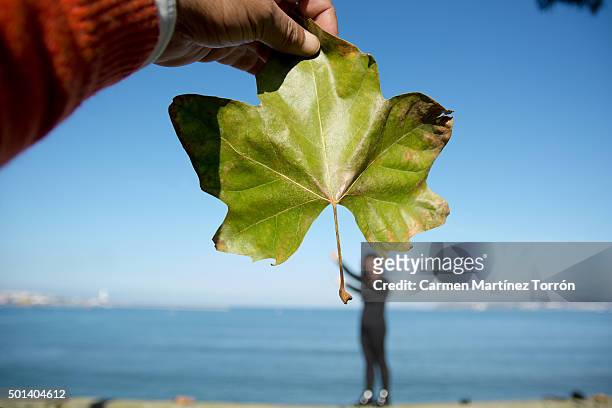 woman appearing to hold a leaf in her hand at the woods. - perspectiva forzada fotografías e imágenes de stock