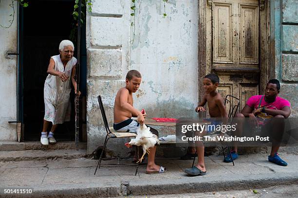 Cruz Rancol left, chases her chicken after it ran out the door of her Old Havana, Cuba home on the evening of August 4, 2015. Ernesto Solis left, and...