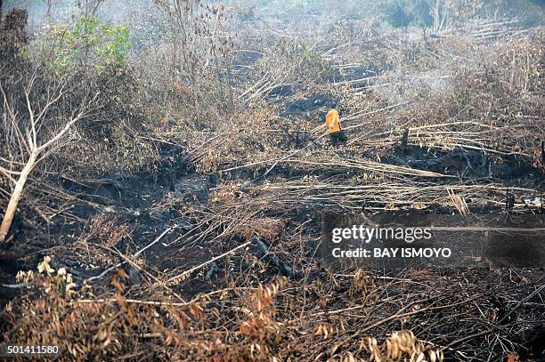 In this picture taken on October 30 a firefighter attempts to extinguish fires in forest and peatlands surrounding Palangkaraya city in Central...