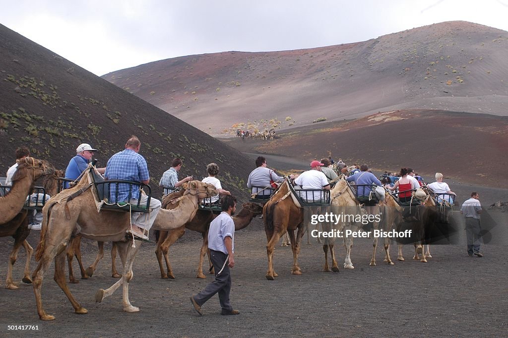 Touristen-Kamelreiten, Nationalpark Timanfaya, Kanaren-Insel Lanzarote, Spanien, Eur