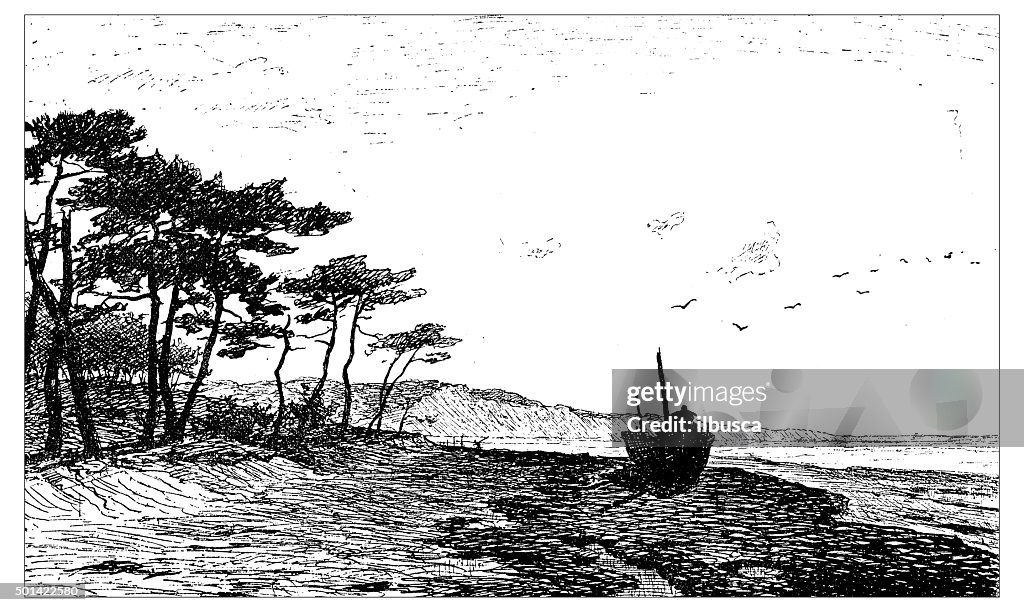 Antique illustration of sand dunes of Pylat and beach