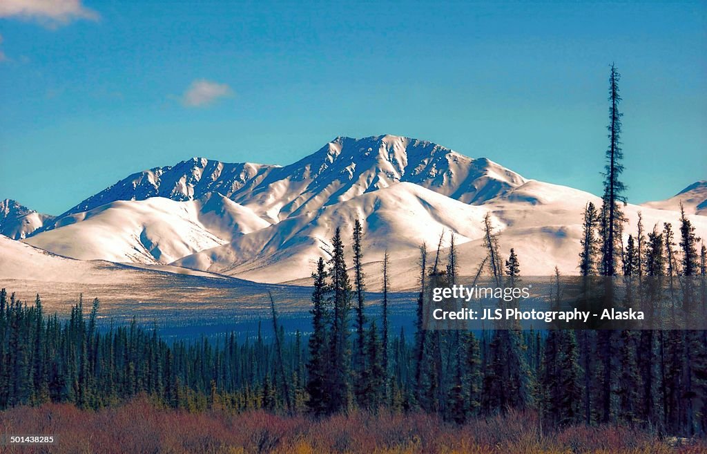 Majestic Mountain - Alaska