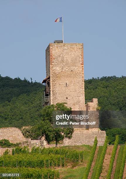 Le Schlossberg, Weingut "Vincent Spannagel", Katzenthal, Elsass, Frankreich, Europa, Weinanbau, Reise, BB, DIG; P.-Nr.: 1023/2007, ;