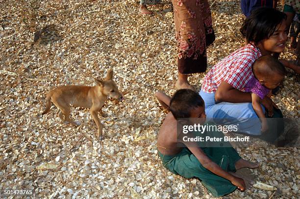 Kinder beim Spielen, kleiner Hund, Dorffest, nahe alte Königsstadt Bagan, Myanmar , Asien, Kind, Tier, Mädchen, Junge, Reise, NB, DIG; P.-Nr.:...