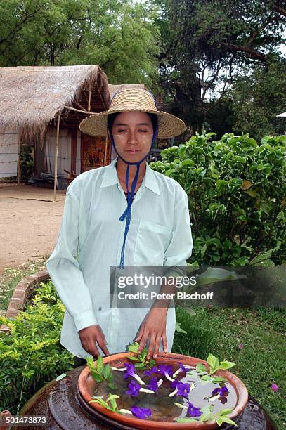 Einheimische junge Frau , Dorffest, nahe alte Königsstadt Bagan, Myanmar , Asien, Wasser-Schale mit Blüten, Reise, NB, DIG; P.-Nr.: 214/2005, ;