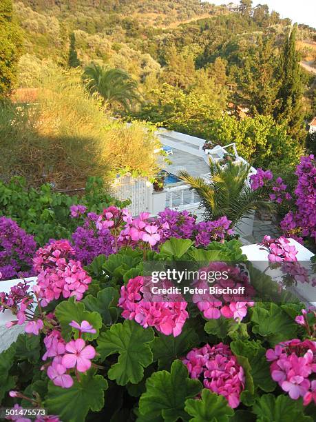 Blick auf Pool, Haus von Ivan Rebroff, Insel Skopelos, Ägäisches Meer, Ägäis, Griechenland, Europa, Homestory, Swimmingpool, Promi, BB, DIG; P.-Nr.:...