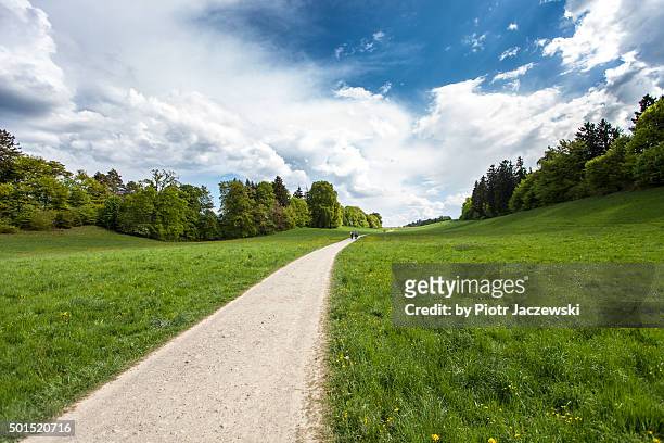 bavarian path - single track stockfoto's en -beelden