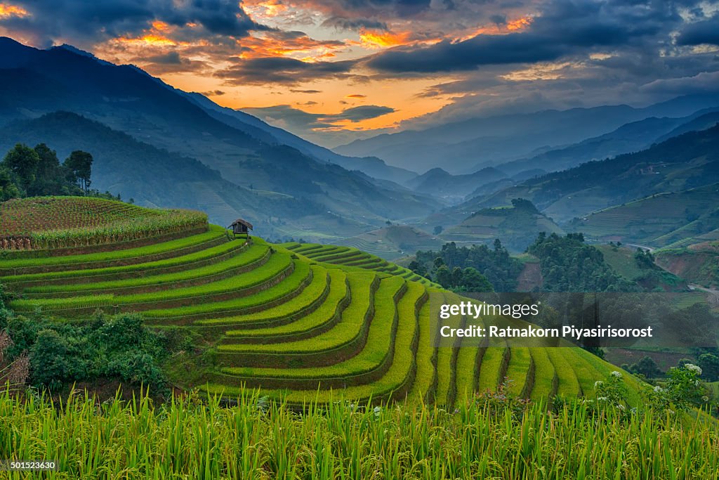 Amazing Rice terraces at Mu Cang Chai, Vietnam