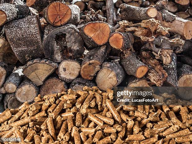 tree wood-pellet biomass - pellet foto e immagini stock