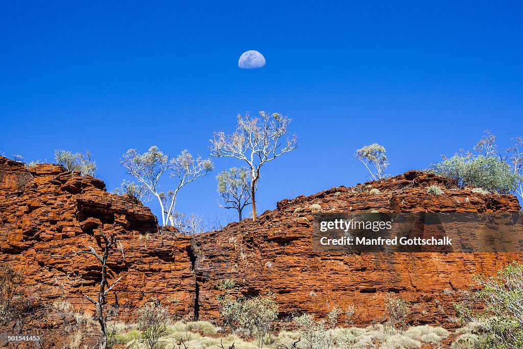 Rim of Weano Gorge