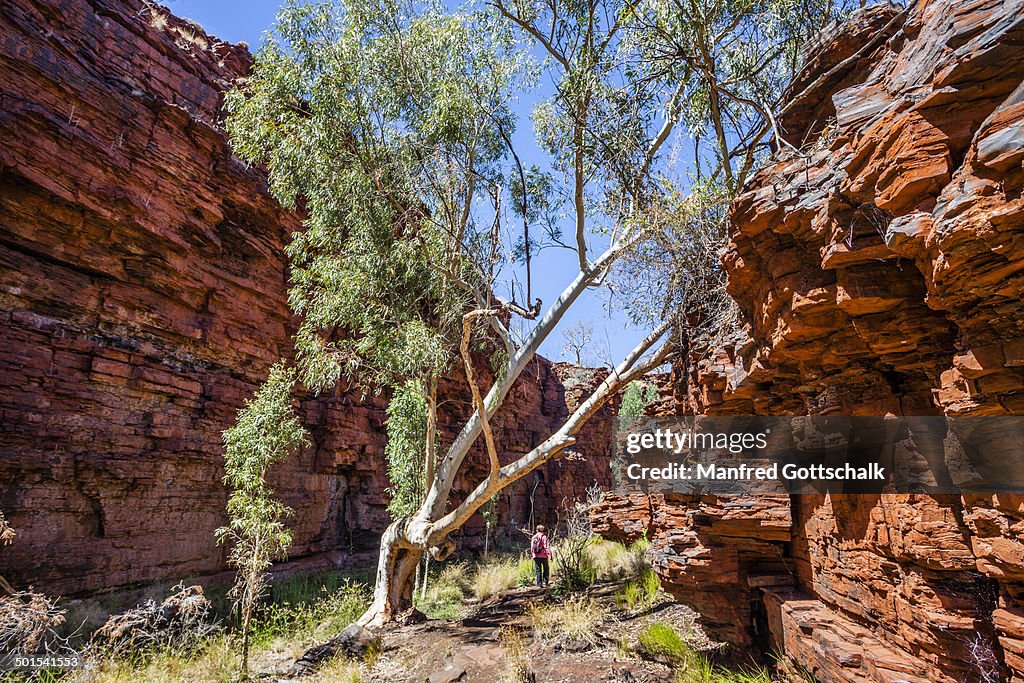Hiking Weano Gorge Karijini NP