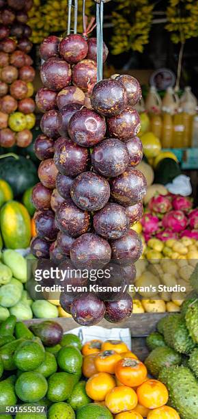 mangosteen - evan kissner stock pictures, royalty-free photos & images