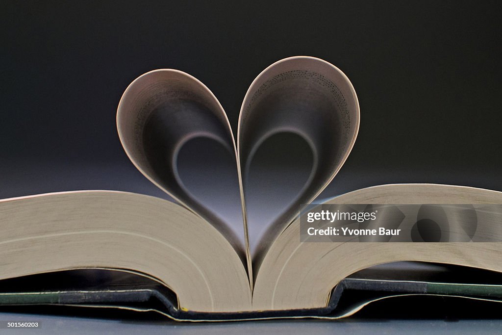 The Book Heart