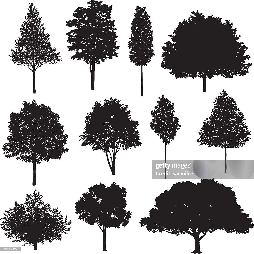 Set Of Tree Drawings