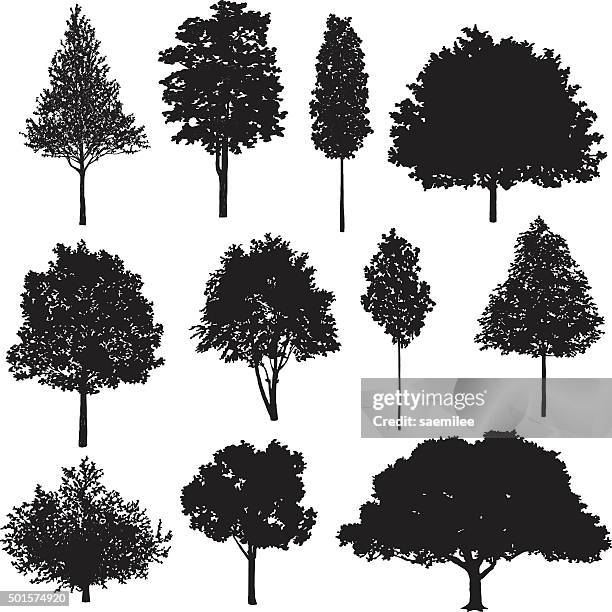 set of tree drawings - flowerbed stock illustrations