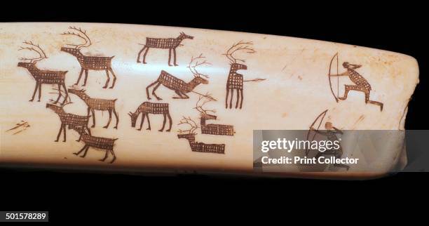 Western Inuit hunting scene engraved on a walrus tusk, from the... News ...