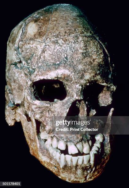 Skull of 'Grimaldi man', an adolescent discovered in Baoussé Rossé one the Cote de Azure. It is debated whether he is neanderthal, cro-magnon, or...