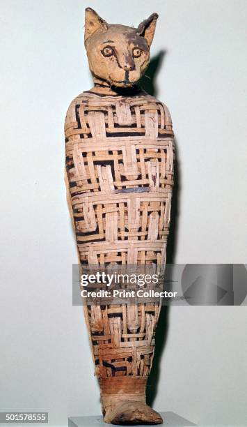 Mummy of a cat, Abydos, Upper Egypt Roman Period, perhaps 1st century. Animals associated with deities were regularly mummified in the later periods...