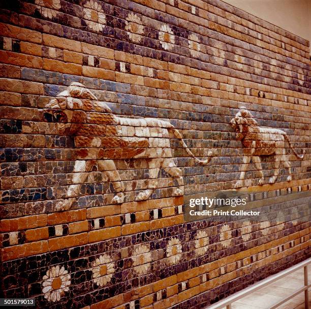 Glazed Brick relief of a lion on the walls of the Sacred Way leading to the Ishtar Gate, Babylon, c580 BC. In the collection at the Pergamon Museum...