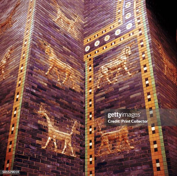 Detail of the Ishtar Gate leading to the Ishtar Gate, Babylon, c604-c562 BC. In the collection at the Pergamon Museum in Berlin.