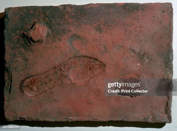 Roman tile with a human footprint and a shoeprint at Fishbourne Roman palace near Chichester in Sussex, 3rd century.