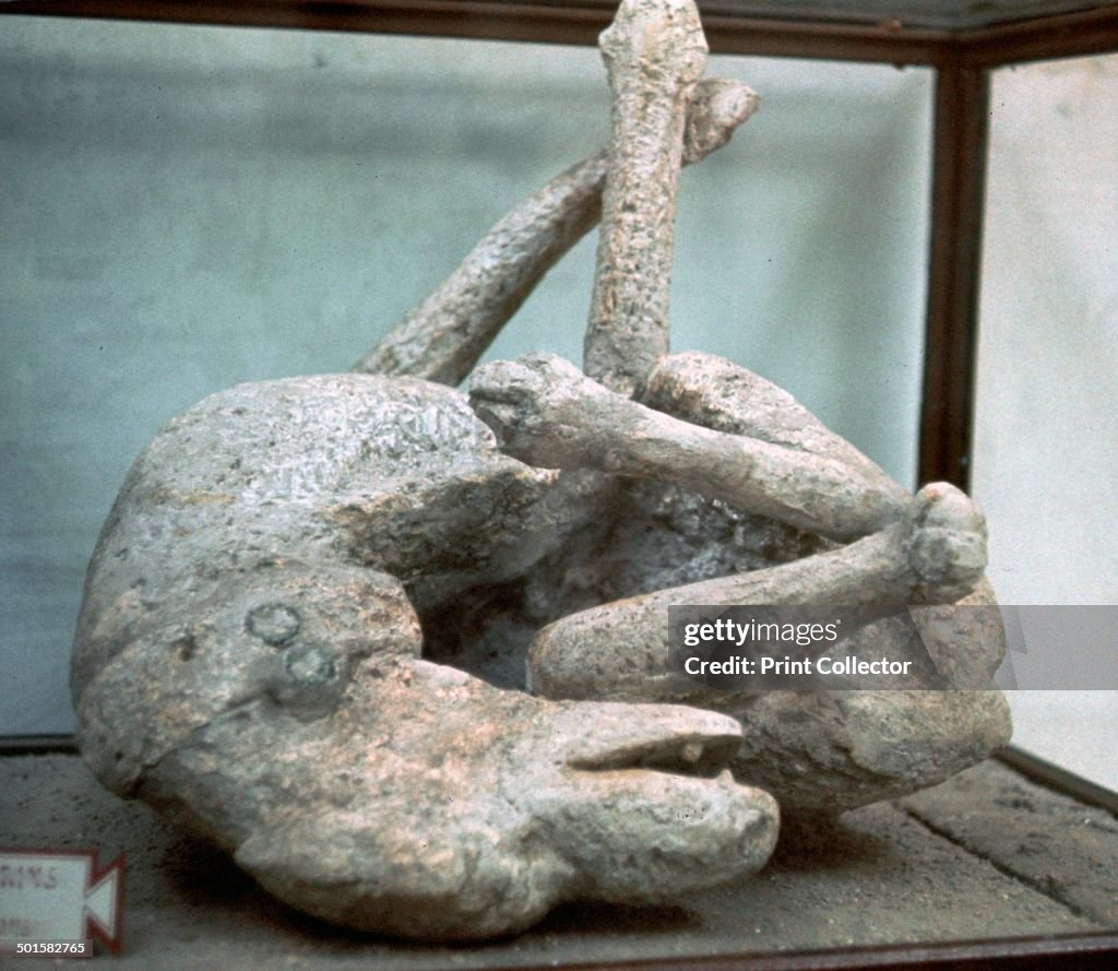 Cast of a chained dog from Pompeii, 1st century.