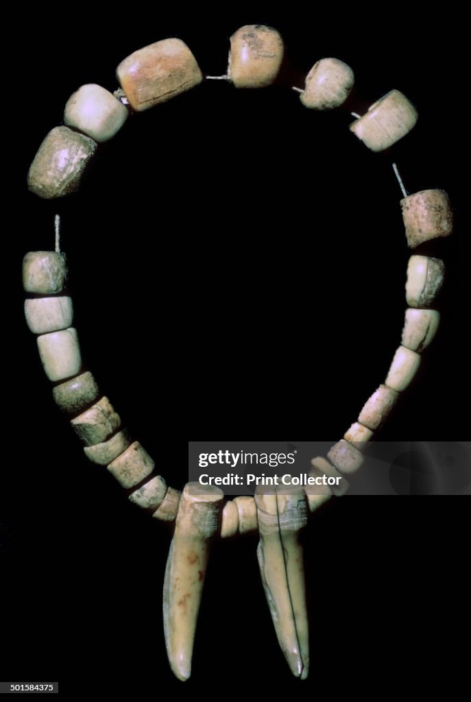 Neolithic Inhumation Neolithic Jewelry Two Human Teeth Became Jewelry In Neolithic Turkey