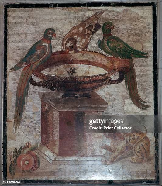 Roman mosaic of birds and a cat at a fountain from a house in Pompeii, 1st century.