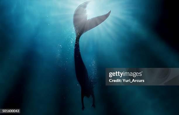 deep blue solitude - mermaid tail stock pictures, royalty-free photos & images