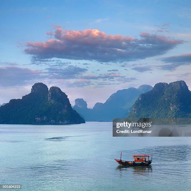 halong bay, vietnam - halong bay stockfoto's en -beelden