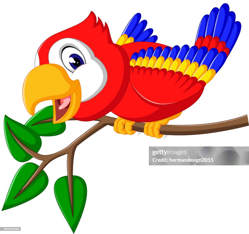 Cute Parrot Cartoon High-Res Vector Graphic - Getty Images