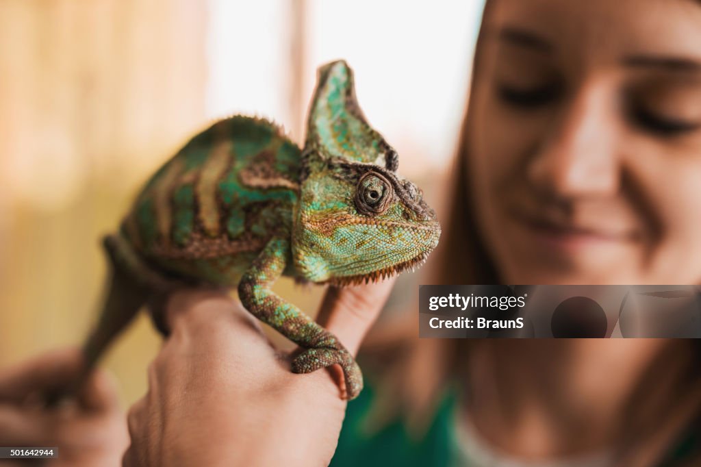 Nahaufnahme von einem Chamäleon in woman's hand.