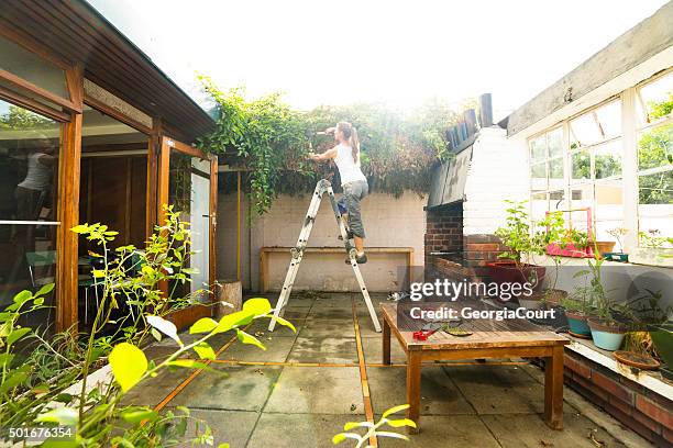 woman cuts overgrown creepers in courtyard - good condition stock pictures, royalty-free photos & images