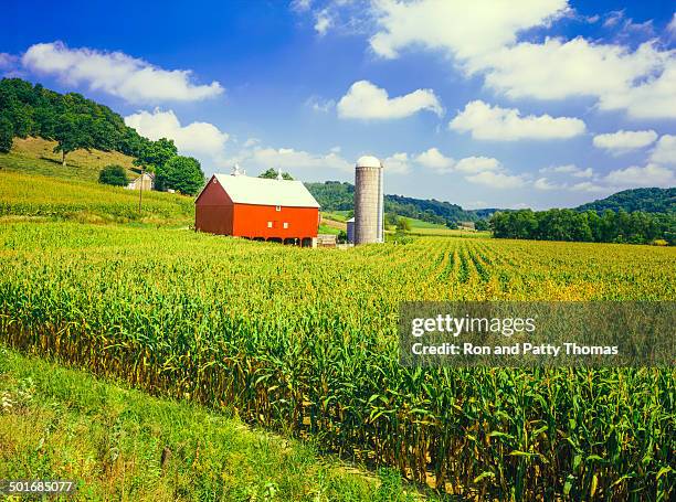 wisconsin farm and corn field - midwest usa stock pictures, royalty-free photos & images