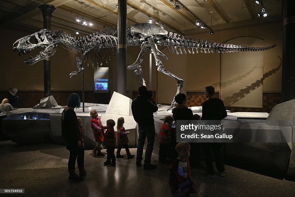 Tristan The Tyrannosaurus Rex Presentation In Berlin