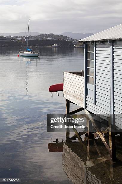 evans bay, wellington, new zealand - new zealand beach house fotografías e imágenes de stock